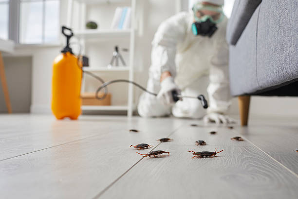 Commercial Kitchen Cockroach Control in Wells Branch